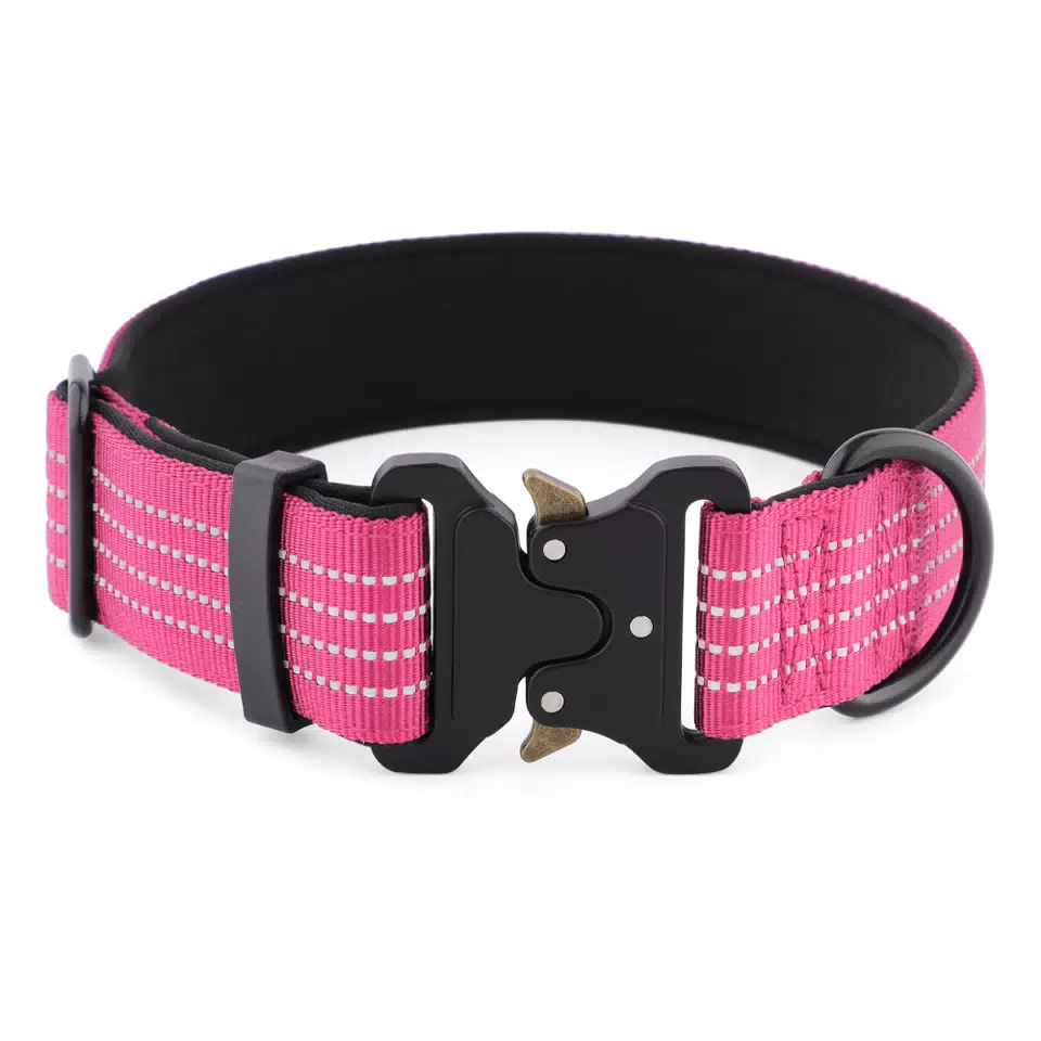 Outdoor Training Cobra Tactical Dog Collar Rose Red / S