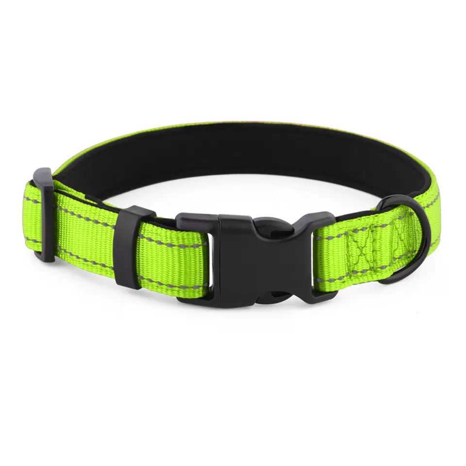 Padded Neoprene Nylon Dog Collar Grass Green / S
