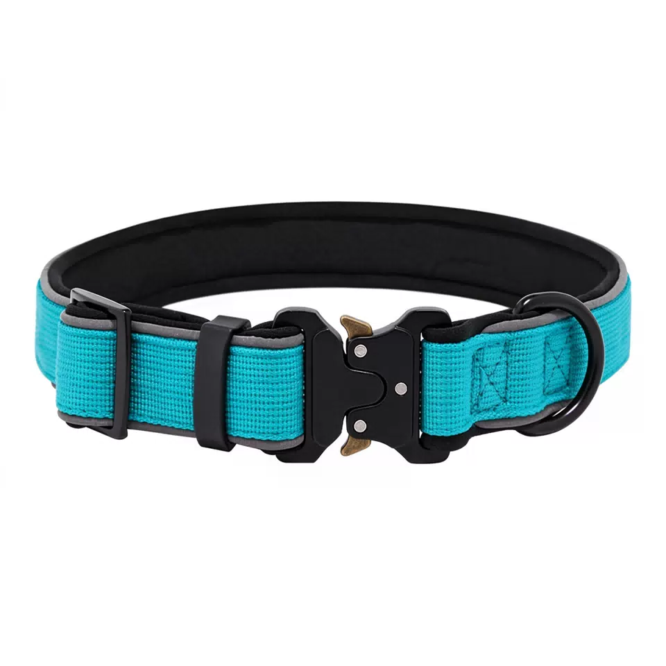 Adjustable Reflective Dog Collar Blue / S