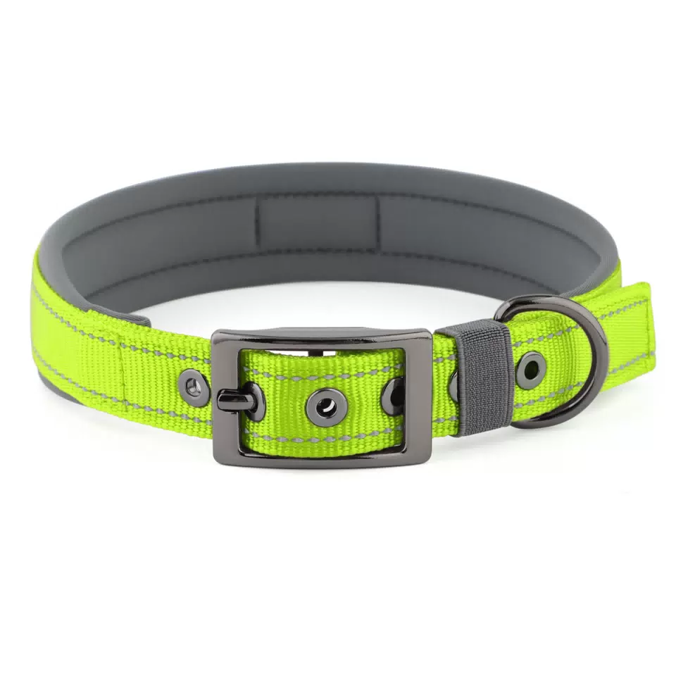 Personalized Reflective Neoprene Dog Collar Bright Green / M