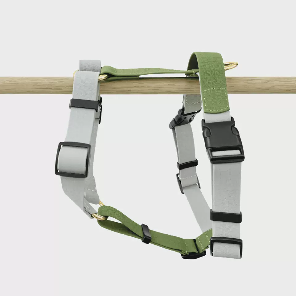 Premium Coated Macaron Light Green Waterproof Dog H-strap Dog Collar Adjustable Dog Collar Harness Leash Set Silver and Green / S