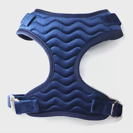 Custom Dog Harness Logo No Pull Tweed / Corduroy / Velvet Harris Collars Pet Harness and Leash Set With Fabric Poop Bag Holder Blue Velvet / S