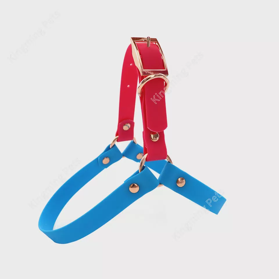 Wholesale the Latest Pvc Color Bumping Design Waterproof Lightweight Outdoor Sports Pet Dog Harness and Leash Blue / S
