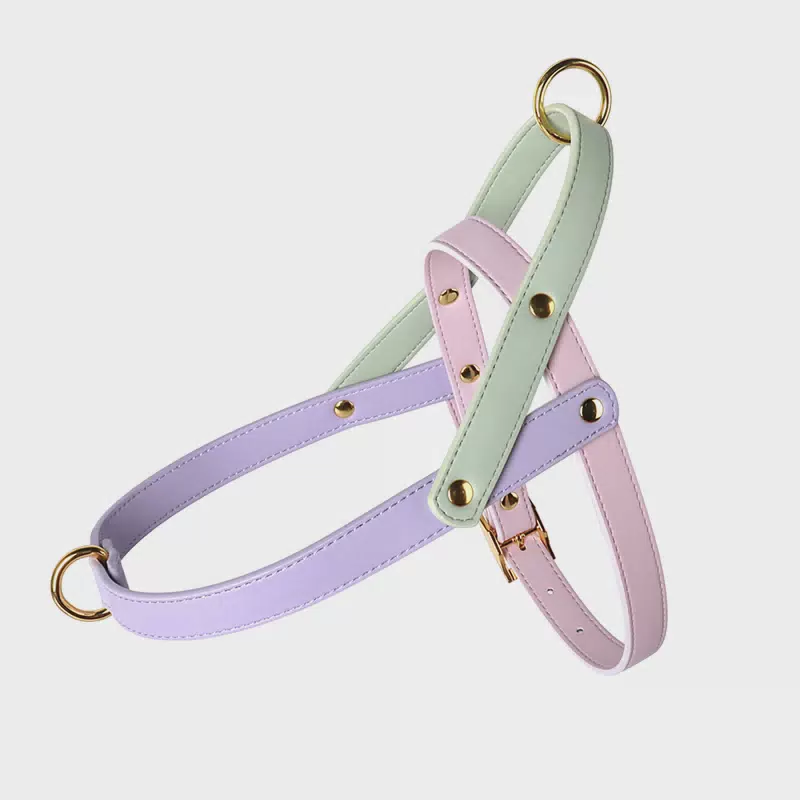 No Pull Luxury Adjustable Natural Leather Dog Harness Leash Designer Lightweight Colorful Wholesale Vegan Leather Dog Harness pet harness / XS