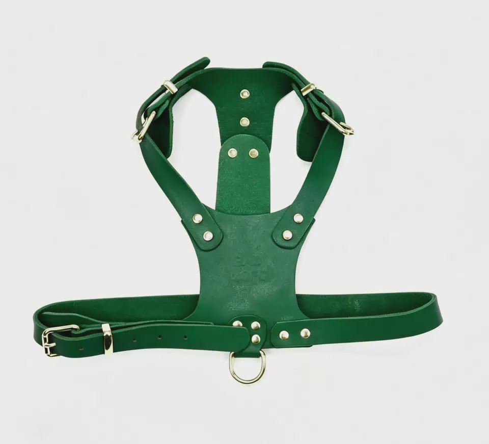 Luxury PU Vest for Small Dogs with Y-Shape Design Adjustable Neck and Chest Straps Reflective Buckles Dog Walking Green / XS