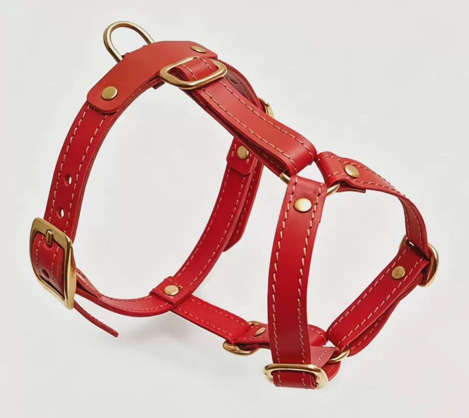 High Quality PU Leather Material for Dog's Back Breathable Soft Adjustable Environmentally Friendly Anti Escape Buckle Closure Red / XS