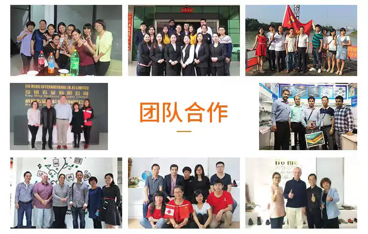 Christmas Print Dog Harness and Leash Set