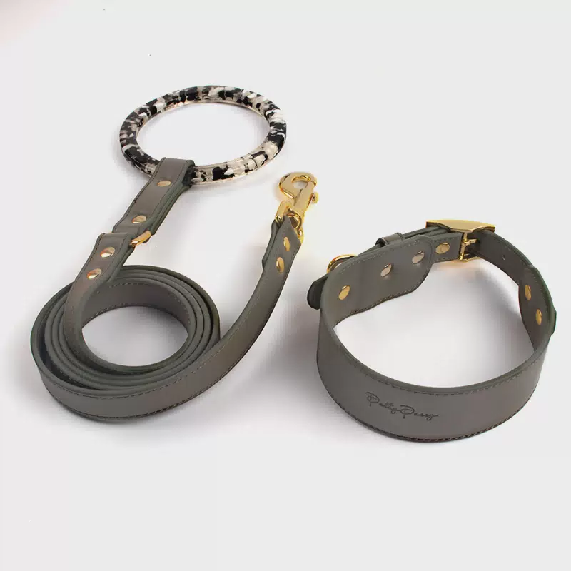360 Beauty Fashion Durable Ring Handle Luxury Pet Lead Custom Print Logo Dog Leash Leash With Hang Water Bottle Deep Green leash and collar / 150 cm