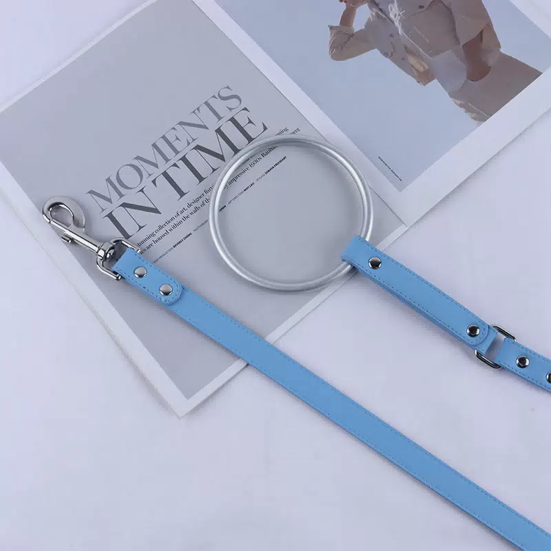 Unique Handle Panache Recycled Ring Luxury Leather Flat Dog Leash for Running Dog Leads Blue / 1.5m(4.92ft)