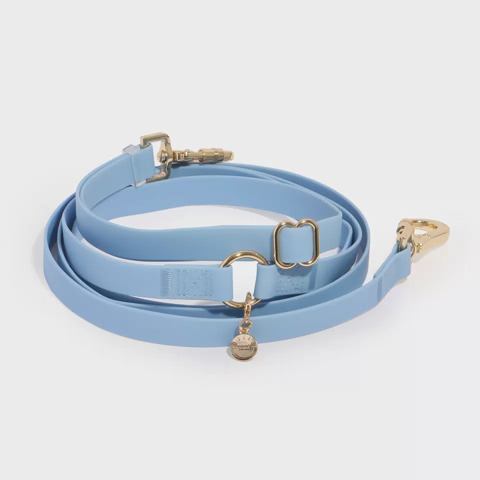 Custom Adjustable Waterproof Pvc Dog Leash 4-in-1 Dust-proof Convertible Crossbody 2 in One Hands Free Long Dog Leash Blue / S