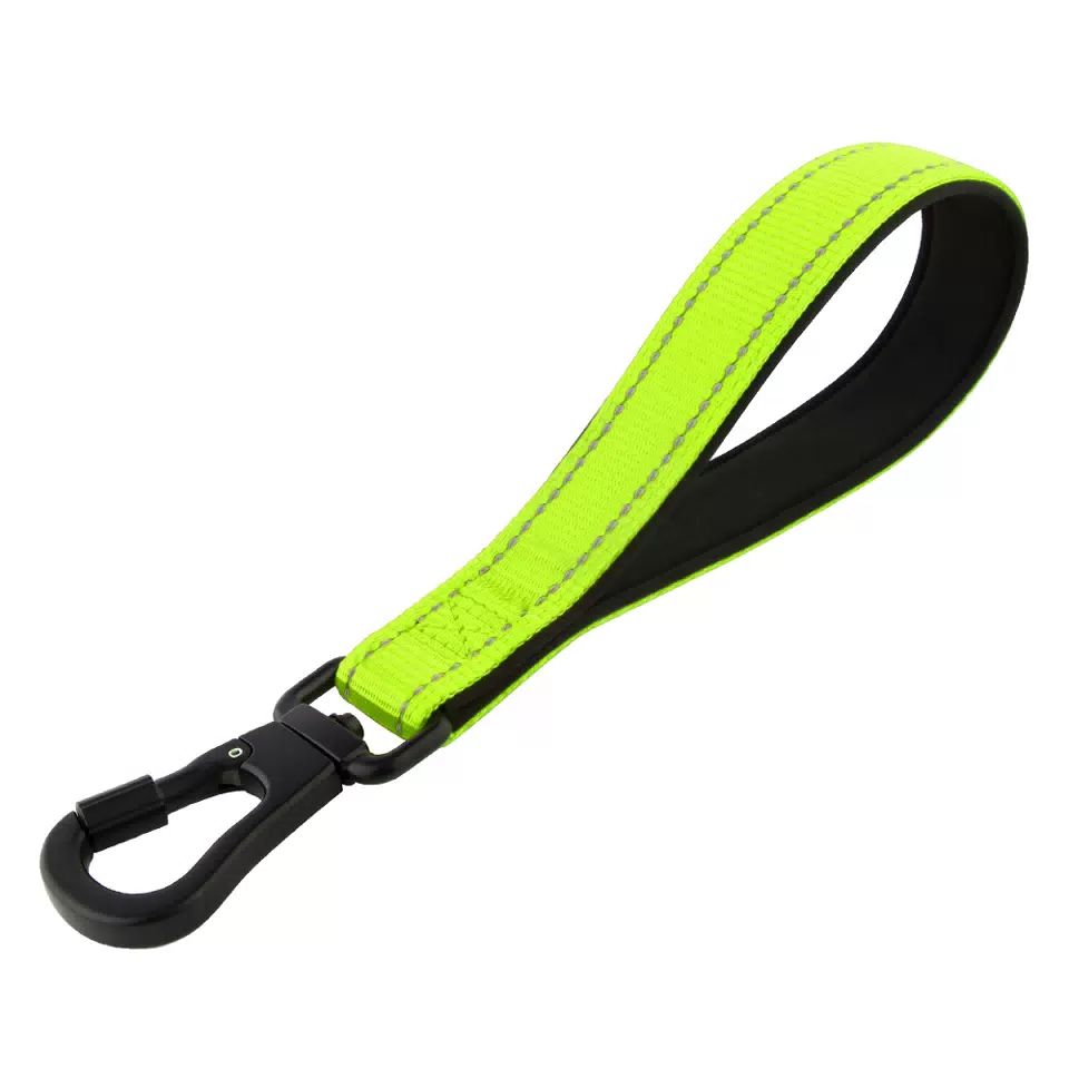 Short Nylon Dog Training Leash Bright Green / M