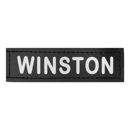 Custom Velcro Pet Name Tag Patches