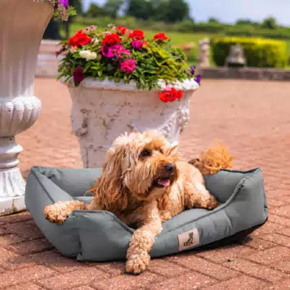 Waterproof Summer Pet Bed