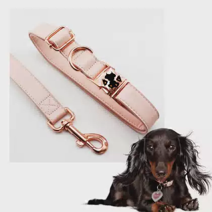 Custom Adjustable Pure Color Leather Accessories Collars Leash With Rose Gold Metal Clips