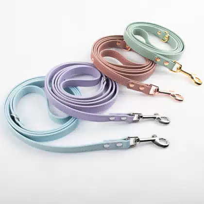Custom Colors Personalized Leather Dog Lead Vegan Bioderable Breathable Adjustable Leather Pet Dog Collar and Leash