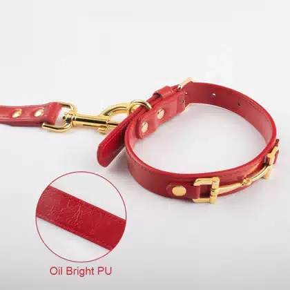 Leather Dog Collar Soft & Durable Strong Waterproof Stylish Dog Collar for Girl Designer