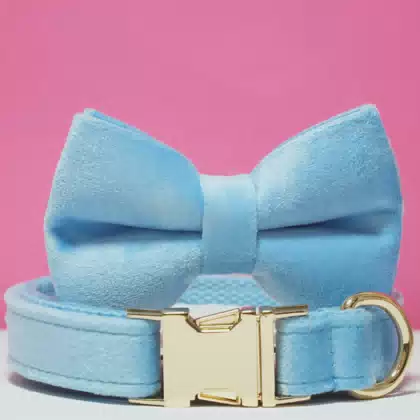 Custom Colors Logo Personalized Sky Blue Collar Engraved Pet Name Cuello Luxury Velvet Festive Dog Collar With Metal Buckle
