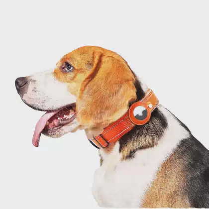 Nylon Adjustable Pet Anti-Lost Gps Tracker Tactical Airtag Cat Dog Collar With Hidden Airtag Holder