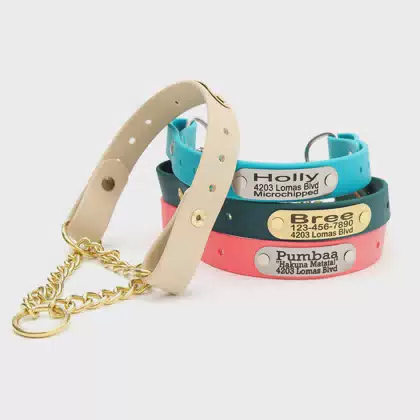Quick Release Stainless Steel Chain Bio Pvc Webbing Collar No Buckle Waterproof Cuello Adjustable Collier Martingale Dog Collar