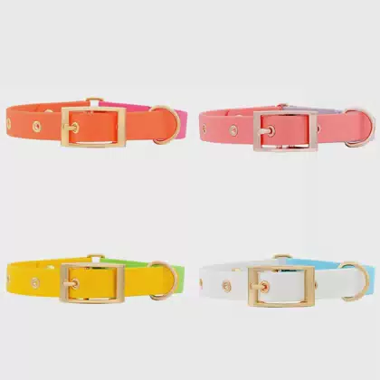 Chew Resistant Waterproof Vinyl Adjustable PVC Pet Collar Leash Custom Color Dog Accessories Collares Para Mascotas Perros Gato