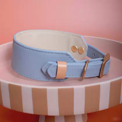 Adjustable Hardware Personalize Blue Leather Dog-collar-manufacturer Other Thick Padded Dog Greyhound Whippet Collar