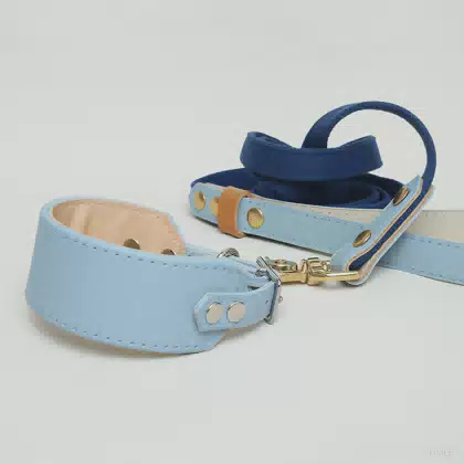 Luxury Wide Greyhounds Soft Padded Leather Collars and Leads Dog Leads Custom Other Thick Puppy Whippet Collar