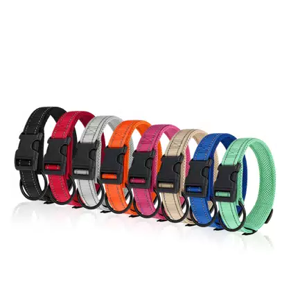 Adjustable Mesh-Lined Dog Collar