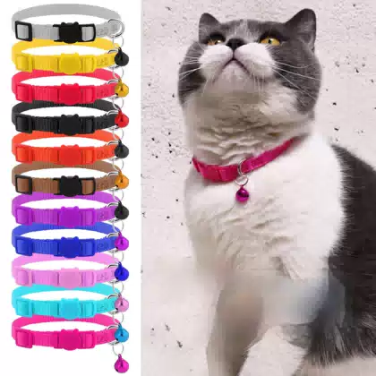 Breakaway Kitten and Cat Collar