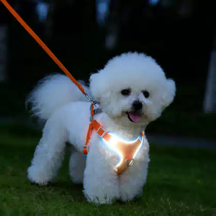 Reflective No-Pull Adjustable Dog Harness