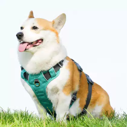 Shock-Absorbing Reflective Dog Harness Vest