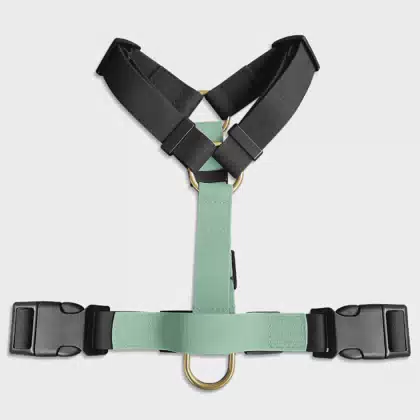 2025 Premium Coated Macaron Light Green Waterproof Dog H-strap Dog Collar Adjustable Dog Collar Harness Leash Set