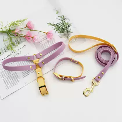 Wholesale the Latest Pvc Color Bumping Design Waterproof Lightweight Outdoor Sports Pet Dog Harness and Leash