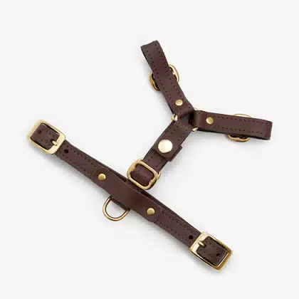 New Style 6 Points Adjustment Soft Genuine Leather Dog Harness High-quality Cast Brass Fittings Dog Harness