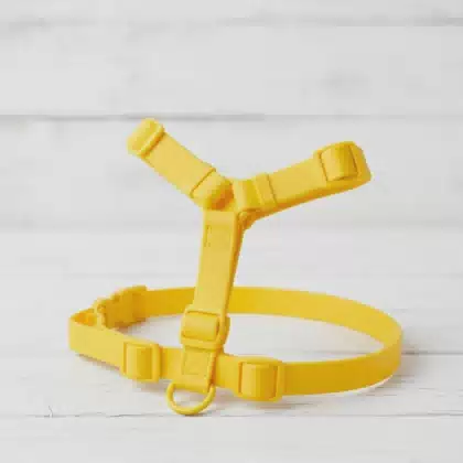 Heavy Duty Waterproof PVC Dog Harness No Pull Adjustable Y Shape Coated Webbing Pet Vest with Colored D-Ring Imbracatura
