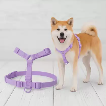 Personalized Luxury Custom Premium Soft Pvc Dog Harness Manufacturer Waterproof Custom Logo No Pull Vest