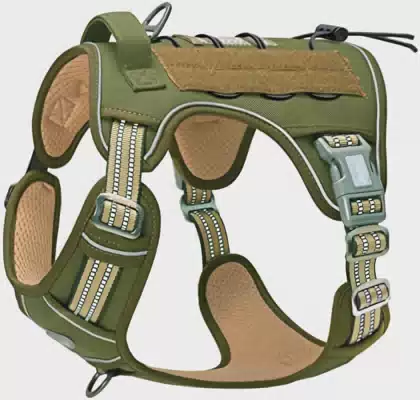 Classic Adjustable Dog Harness and Leash Collar Set With Premium Canine Pet Leashes Harnesses With Letter Patch