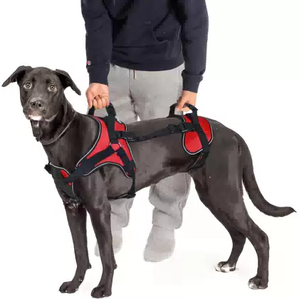 Multi-Functional Full-Body PET Lifting Support Rehabilitation Dog Lift Harness Vest with Front-Only Rear-Only