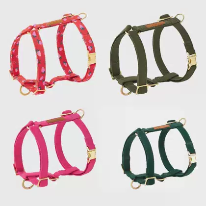 Lightweight and Breathable Denim Neoprene Pet Harness Set Stress-free Walks Adjust Straps No Pull Canvas Luxury Dog Harness