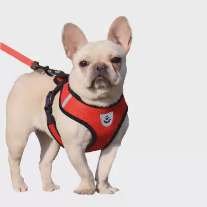 Breathable Mesh Fabric Pitbull Pet Harness Private Label Custom Printed Soft Reflective Cat Dog Harness