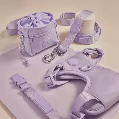 Comfort Luxury Designer Custom Logo Lilac Neoprene Pet Vest Dog Lead Collar Set Dog Leash Harness with Poop Bag Holder