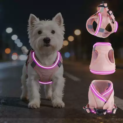 Waterproof Night Glow Flash Mode Rechargeable Led Light up Dog Harness for Small Medium Pet
