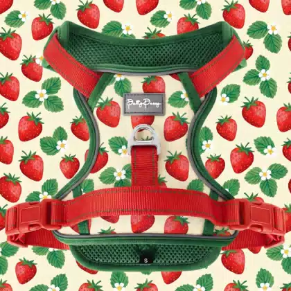 Easy Control Tactical Adjustable Step in Custom logo Pet Vest Wholesale Fashionable Manufacturer Dog Harness Custom