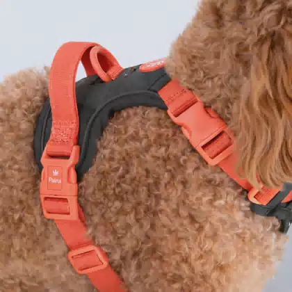No Pull Safety Tactical Dog Harness with Handle Fully Adjustable Reflective Reversible Pet Harness for Daily Walking Training