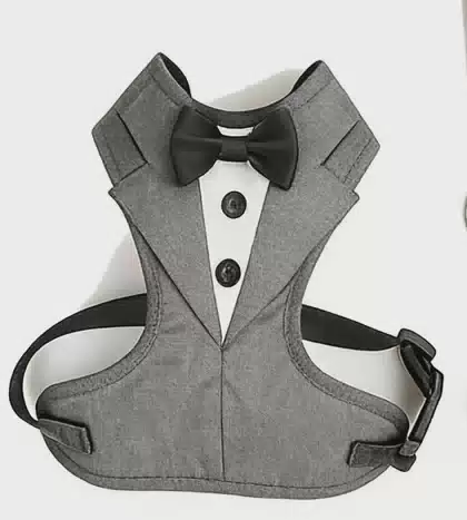 Padded Cotton Dog Harness with Bowknot Decoration Buckle Closure Quick Release Comfort Design-Multiple Colors