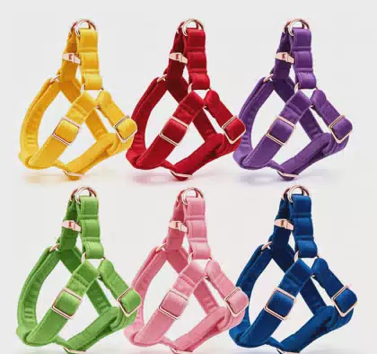 Luxurious Fall/Winter Iron Dog Harness Cute Breathable & Comfortable Rower Style with Safety Buckle and Anti-Pull Design