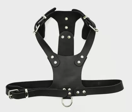 Luxury PU Vest for Small Dogs with Y-Shape Design Adjustable Neck and Chest Straps Reflective Buckles Dog Walking