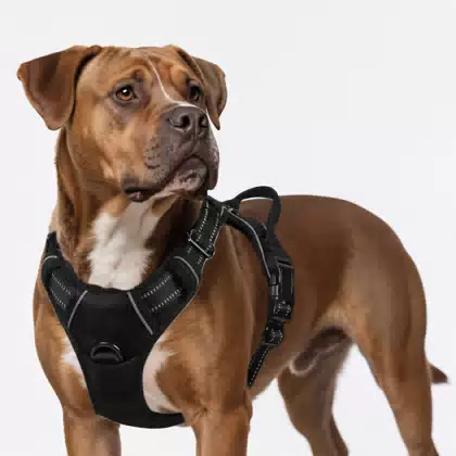 Reflective Oxford Dog Harness No Pull with Leash Adjustable Soft Padded Pet Vest with Easy Control Handle for Medium Sized Dogs