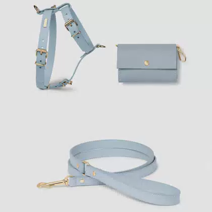 Luxury Fashion Solid PU Dog Harness XS Size No Pull Custom Color Vest Leash Poop Bag Holder Set with Gold Clasp