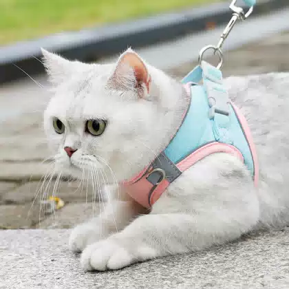 Breathable Reflective Small Dog Harness Set