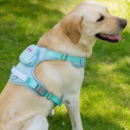 Wide Reflective Tactical Dog Harness & Leash Set